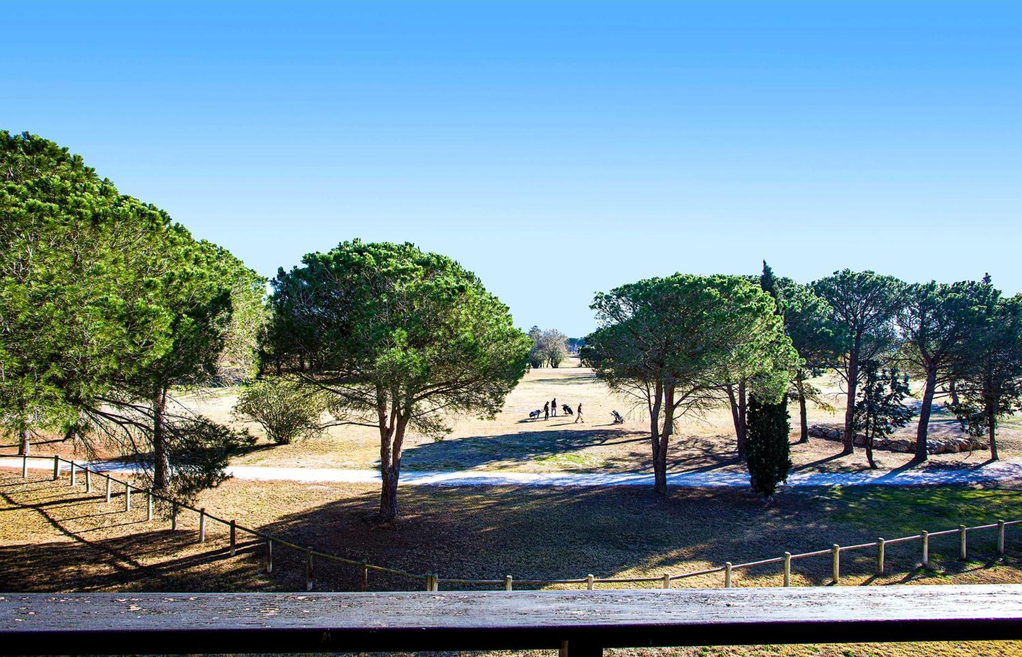 Vert Paradis - Vue Apaisante Sur Golf, Pins Parasols, 2E Etage - 80 M2 Dont Terrasse Avec Pergola, 2 Chambres, 3Et Iles, 3 Clim, Wifi - Piscine, Parking Et Park A Velos, Ascenseur - En Option Linge, Menage - Pistes Cyclables, Mer A Proximite Saint-Cyprien  Eksteriør billede